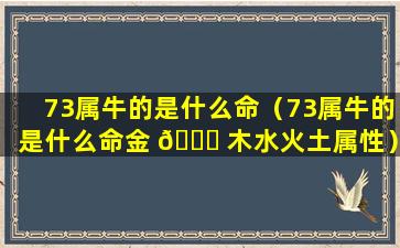 73属牛的是什么命（73属牛的是什么命金 🐟 木水火土属性）